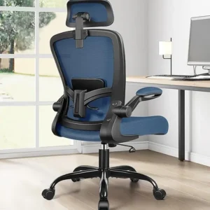 Adjustable Desk Chair