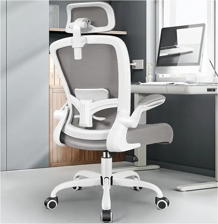 Adjustable Desk Chair