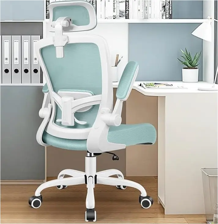 Adjustable Desk Chair